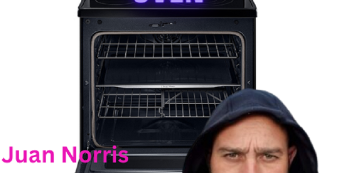 Best 24 inch wall oven 2023